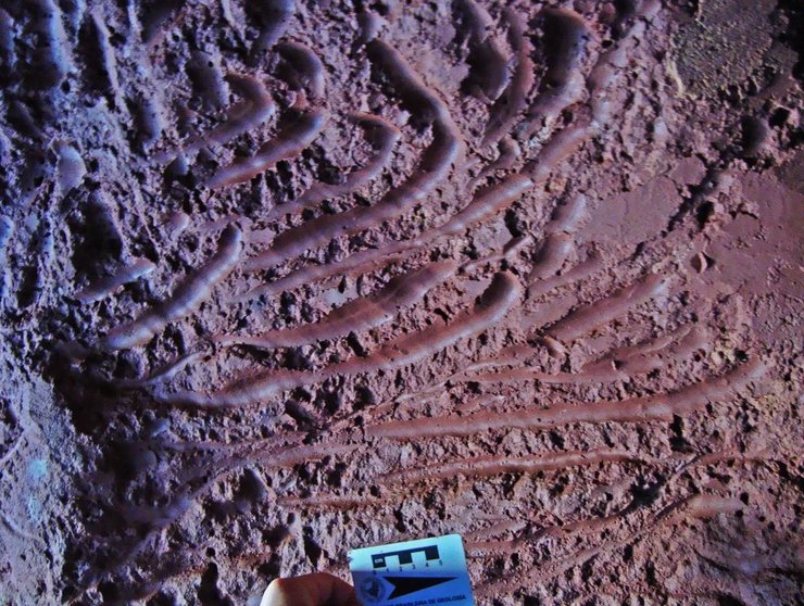 печера Бразилія