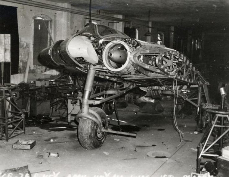 самолет Хортен