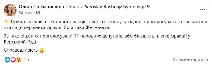 Стефанишина, Железняк, увольнение,