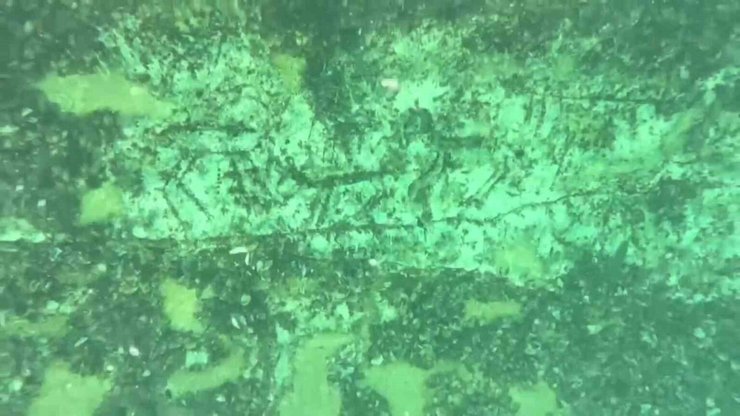 резьба наскальные рисунки Ученые находили подобные резьбы на соседних объектах