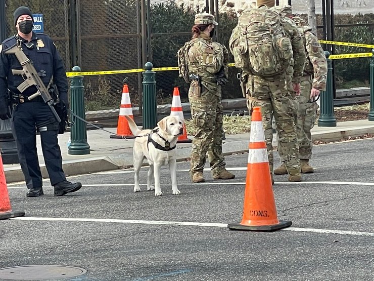 инаугурация, байден, безопасность, вашингтон, сша