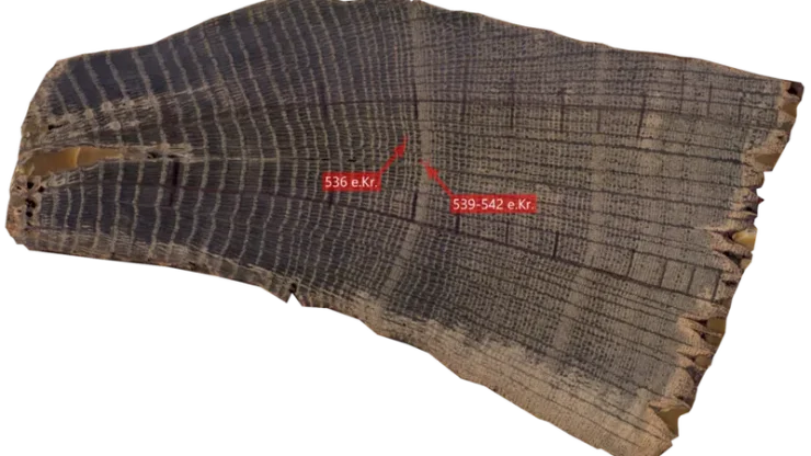 дубовые кольца, анализ, раскопки, история, природа, деревья, викинги, рагнарок, конец света, дания