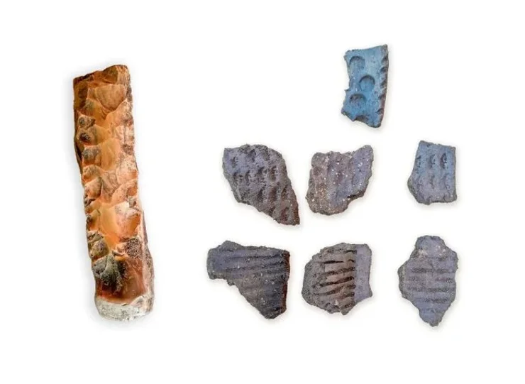 археология, археологи, Сконе, Швеция, раскопки, находка, исследование, открытие, камень, керамика, культура, воронковидная посуда, материал, неолит, ограждение, артефакты, собрание, Скандинавия