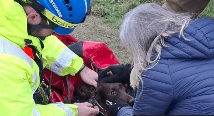 Рятувальники провели операцію, щоб витягти собаку зі скелі