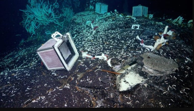 идротермальный источник исследование