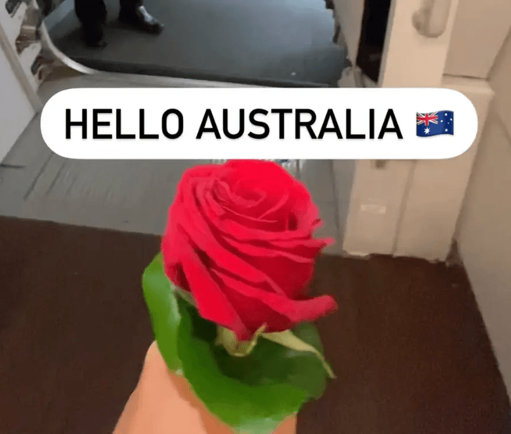 Штраф за троянду в аеропорту, блогер, порушення закону, штраф, рослина в аеропорту, біобезпека, квітка, мандрівниця