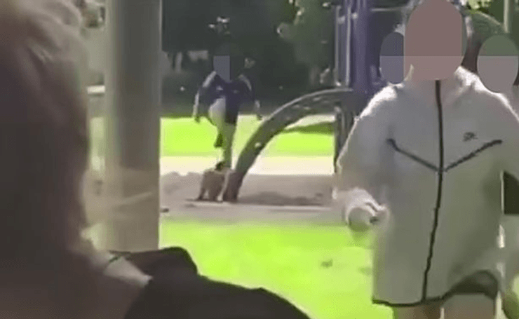 Драка, дети, ребенок, детская площадка, подросток