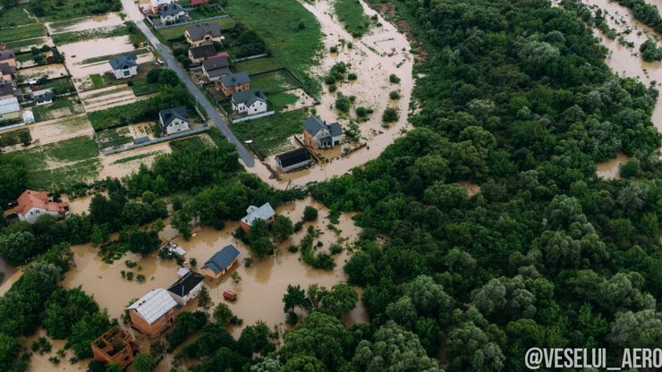 паводок, волчинец