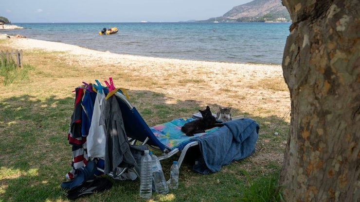 Клаус Ребок лежак