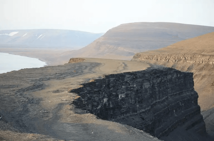 скам’янілість, рештки, рептилії, рентген, дослідження, палеонтологія, геологія, мінерали, історія, природа, наука, древнє життя, морські рептилії