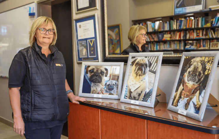 Женщина живет с 200 собаками, приют для животных, приют для мопсов, 200 мопсов, тратит деньги на корм, спасает собак