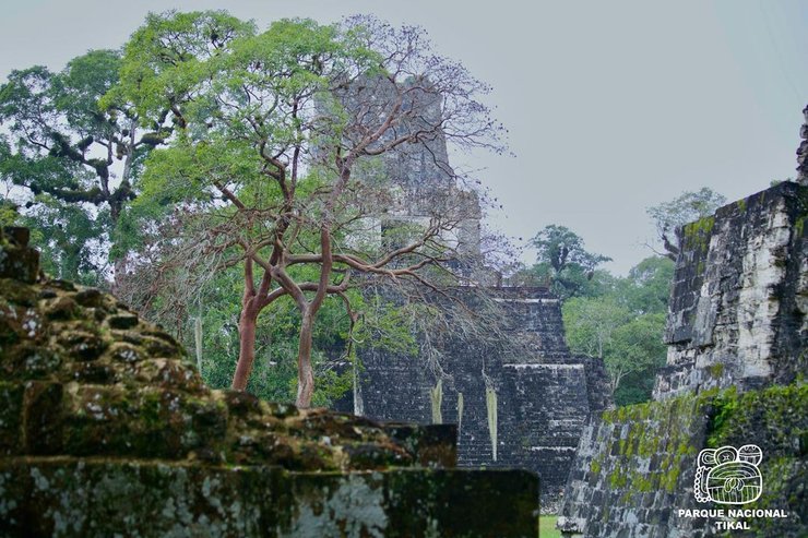 Тикаль, гватемала