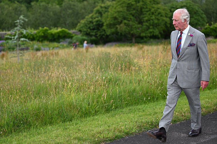 Король Карл III, король карл садовод, букингемский дворец, садовник, вакансия во дворце