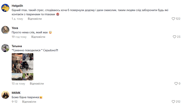 Комментарии о фотосессии с гусем