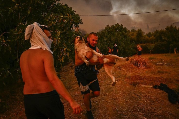 Пожары в Греции