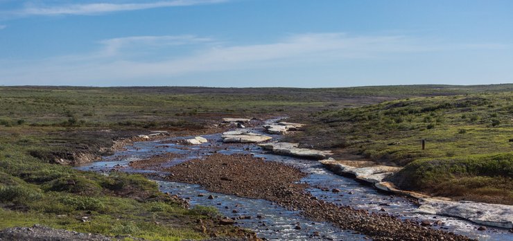 тундра, трава, небо, фото