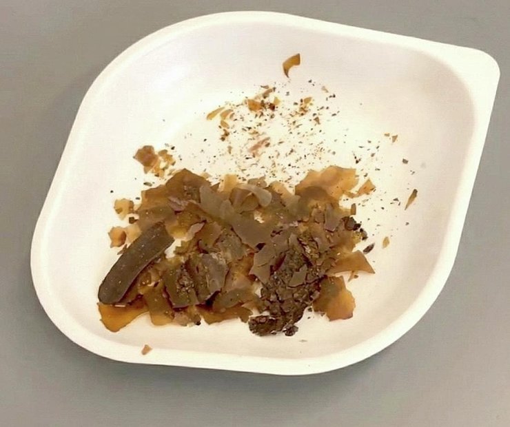 Ученые нашли человеческие экскременты в римском артефакте