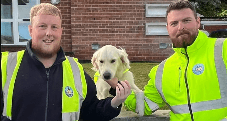 Мусорщики Марк и Нэйтан, которые давно подружились с Мэдди