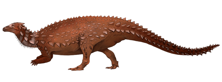 Сцелидозавр, Scelidosaurus harrisoni