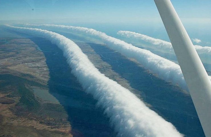 Утрення глория, шельфовое облако, облако, погодное явление, погода, небо, дождь, удивительное зрелище,