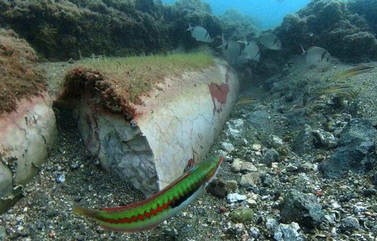 Исследования, археология, Италия, подводное исследование, история, римская империя, древний рифм, археолог, раскопки, подводные раскопки, мрамор, греция, остров хиос, вулкан, бог, бог огня, байи, байи, Гай Марий, Гней Помпей,