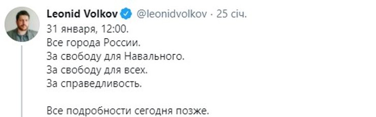 31 января, митинг, акция протеста, Навальный
