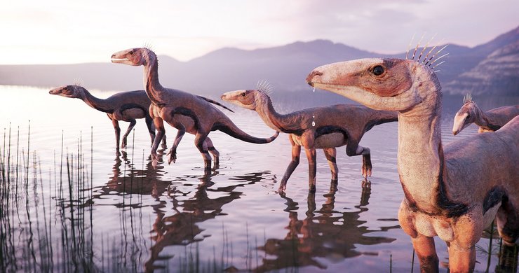 Silesaurus opolensis, предок динозавров