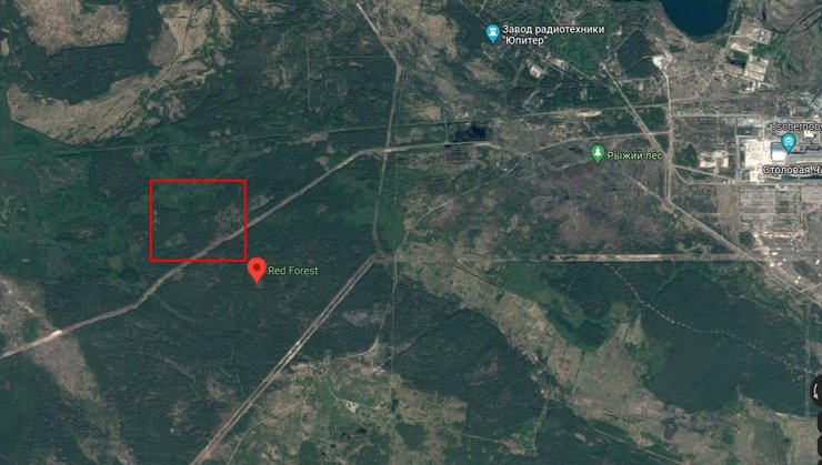 Окопы в Рыжем лесу