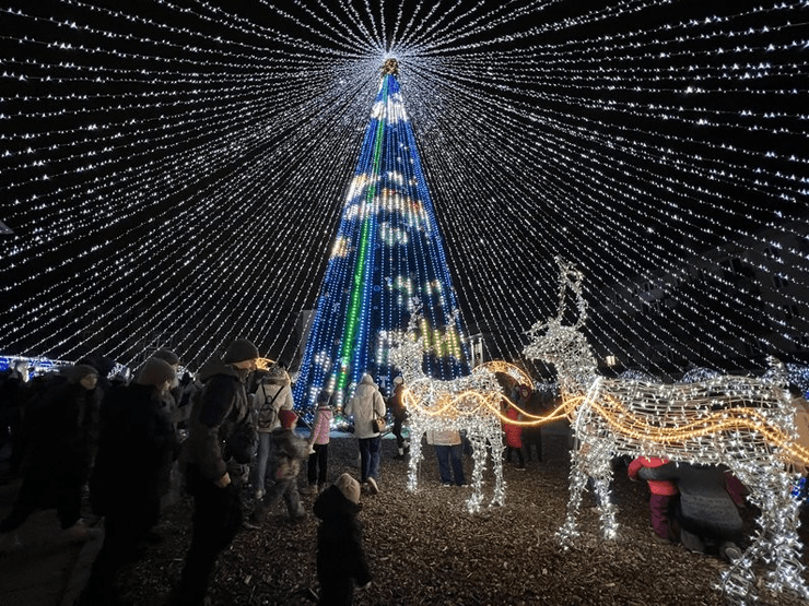 ялинка полтава