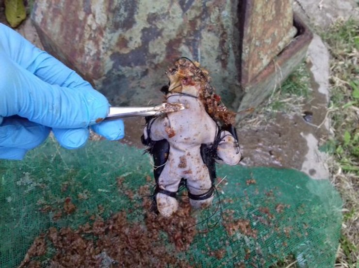 Лялька, лялька-вуду, ганчіркова лялька, капсула часу, моторошна капсула часу, прокляття, соцмережі, знахідка,