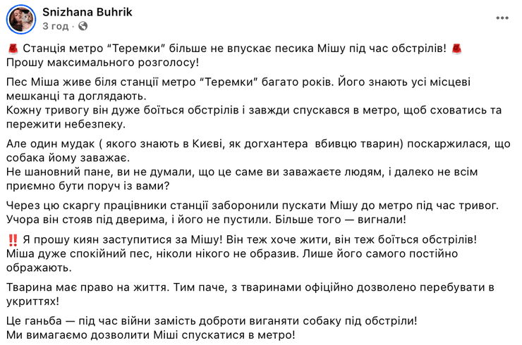 Снежана Бугрик требует справедливости для собаки Миши, которого не пускают в укрытие во время обстрелов