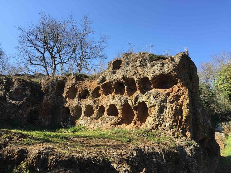 фалерии нови, археология, италия