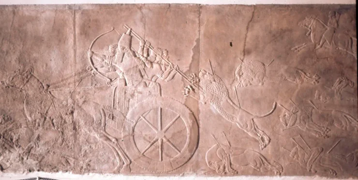 Ша реши изображал без бороды