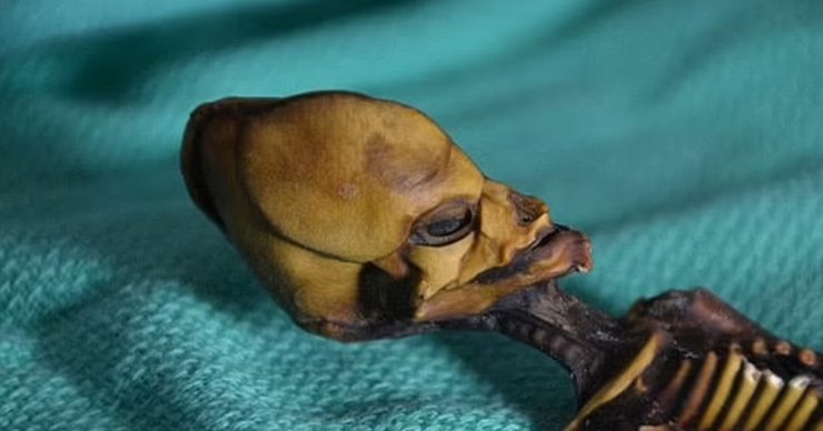 гуманоид Атакамы