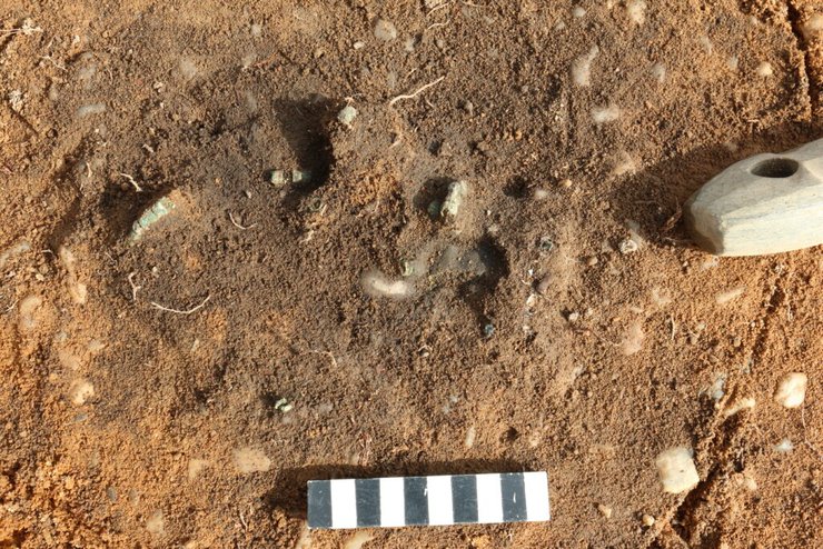 Ученые обнаружили ценные артефакты