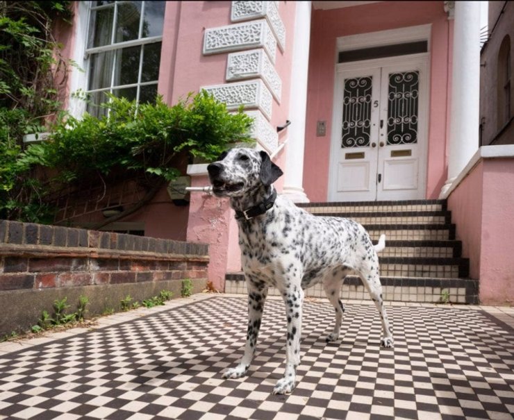 101 далматинец, особняк