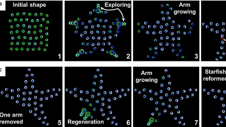 Роботи, схема