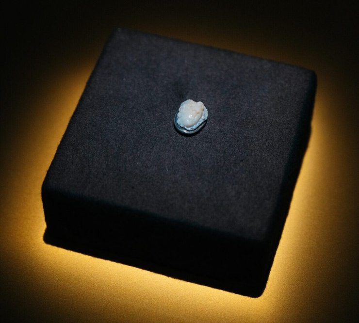 Археологи продовжують робити нові відкриття