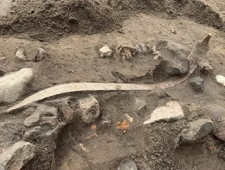 зброя, артефакт, розкопки, археологи, археологія, поселення, Данія, залізний вік, дослідження, знахідка, відкриття, ритуал, жертвоприношення