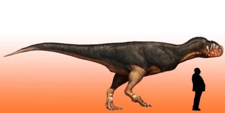 Абелізаври, динозаври, викопні, вимерлі тварини, доісторичні тварини, палеонтологія