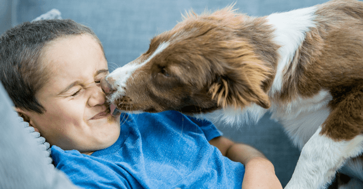 собака, дитина, фото