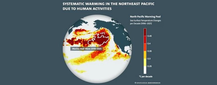 Підвищення температури, Тихий океан