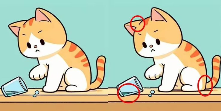 Головоломка, найдите отличия, тренировка зрения, проверка зрения, внимательность, визуальная головоломка, кот, играет со стаканом