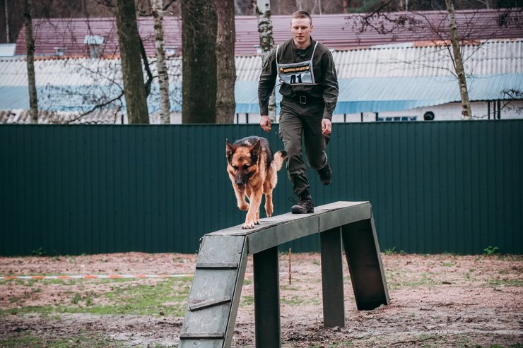 кинологи, мвд, нацгвардия, животные, соревнования