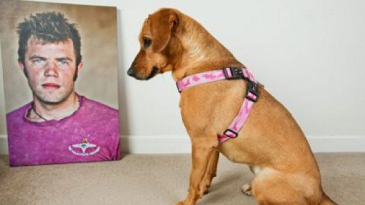 пес Пег, собака Пег, афганістан