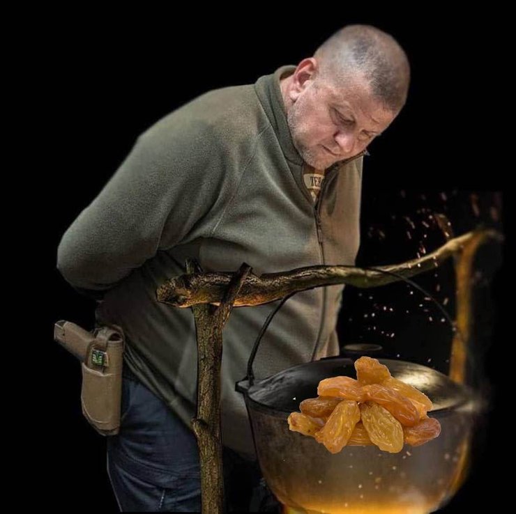 изюмский котел, валерий залужный, залужный, главком залужный, генерал залужный, главком всу, главнокомандующий всу, статья залужного,