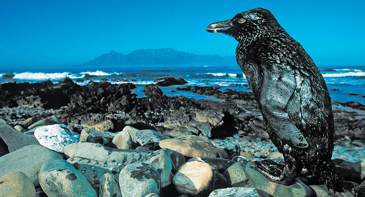 загрязнение окружающей среды, отчет оон, антониу гутерриш, глобальное потепление, изменения климата, проблемы экологии