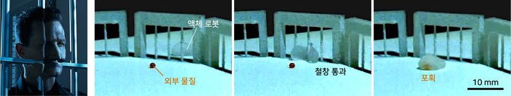 Рідкий робот, Термінатор, м'який робот, технології, фото