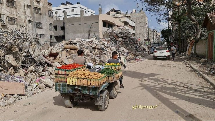 сектор газа, доставка продуктов, фото