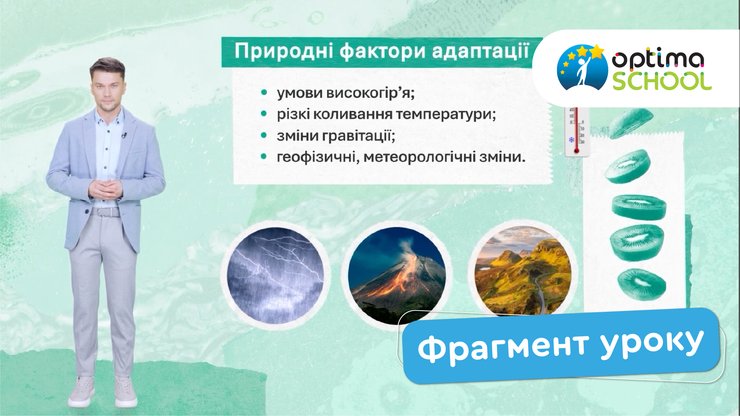 Як дистанційна школа готує учнів до міжнародних освітніх стандартів